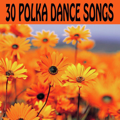 30 Polka Dance Songs