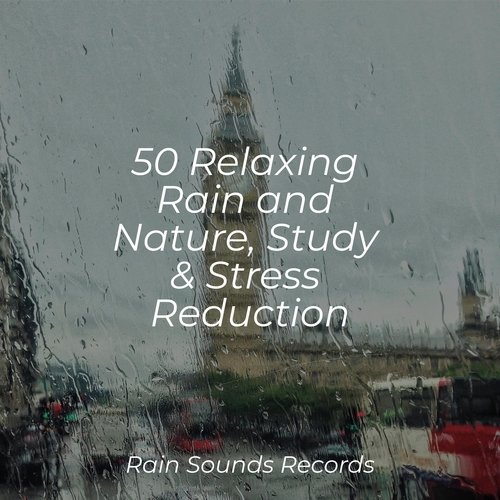 50 Relaxing Rain and Nature, Study & Stress Reduction