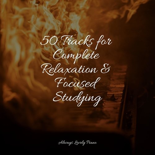 50 Tracks for Complete Relaxation & Focused Studying