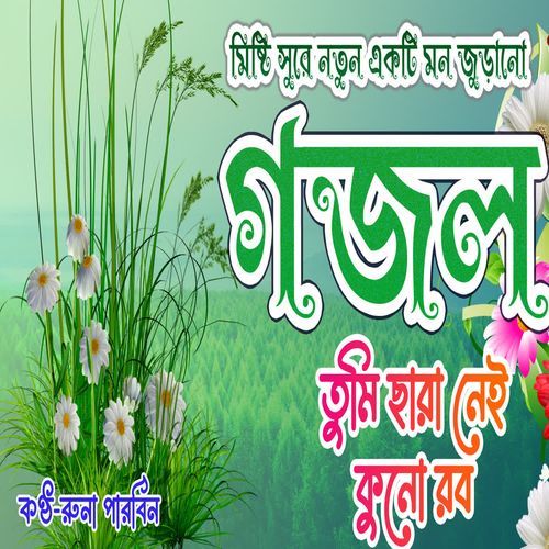 Ami Sara Ase koto Banda Tumar