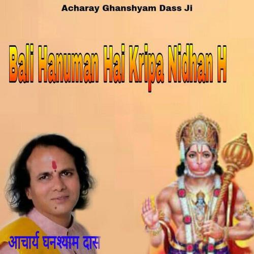 Bali Hanuman Hai Kripa Nadhan H