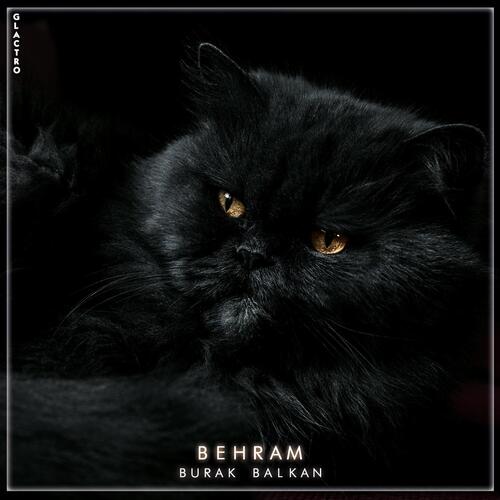 Behram_poster_image