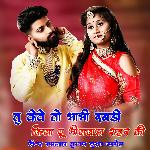 Bhabhi Rabdi Khila Du Bhilwada Shahar Ki