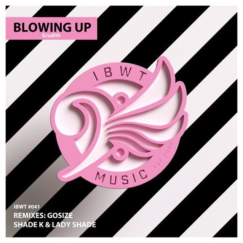 Blowing Up (Gosize Remix) cover art