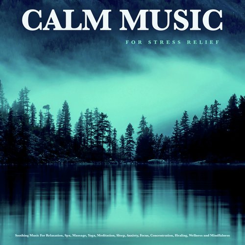 Calm Music For Stress Relief: Soothing Music For Relaxation, Spa, Massage, Yoga, Meditation, Sleep, Anxiety, Focus, Concentration, Healing, Wellness and Mindfulness_poster_image