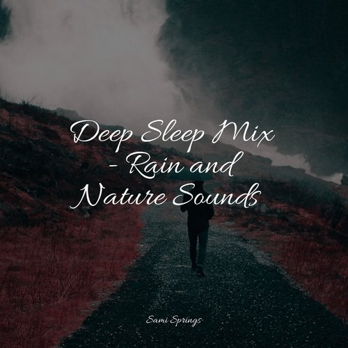 Deep Sleep Mix - Rain and Nature Sounds_poster_image