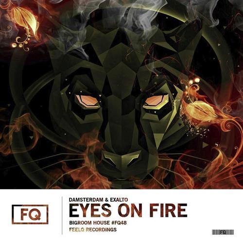 Eyes On Fire_poster_image