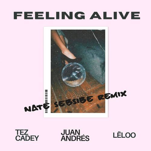 Feeling Alive (NATE SEBSIBE Remix)