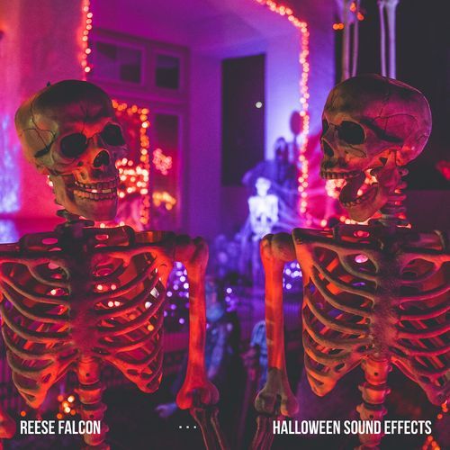 Halloween Sound Effects cover art