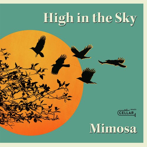 High in the Sky_poster_image