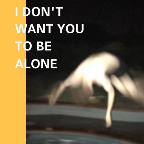 I Don&#039;t Want You to Be Alone_poster_image