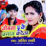 Jobna Chhuke Kare Pranam (Bhojpuri Song)
