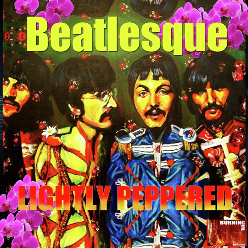 Sgt Peppers Lonely Hearts Club Band / Little Help From My Friends
