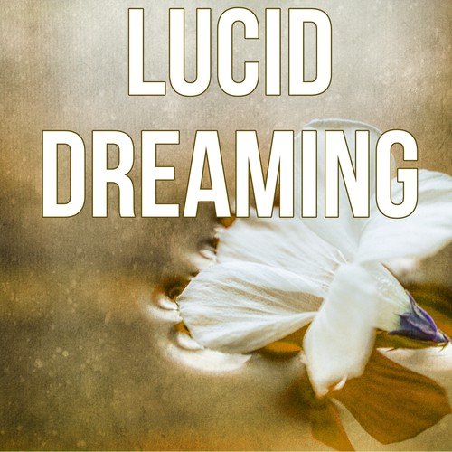 Healing Dream cover art
