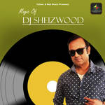 Magic Of DJ Sheizwood