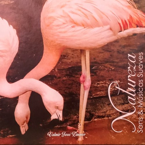 João De Barro cover art