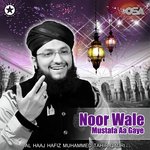 Noor Wale Mustafa Aa Gaye