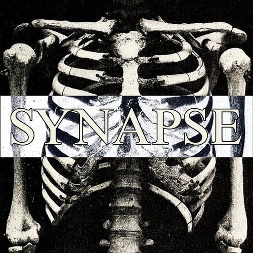 SYNAPSE