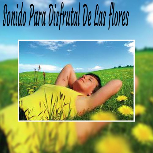 Relajación para Embarazadas cover art