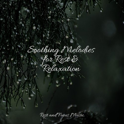 Soothing Melodies for Rest &amp; Relaxation_poster_image