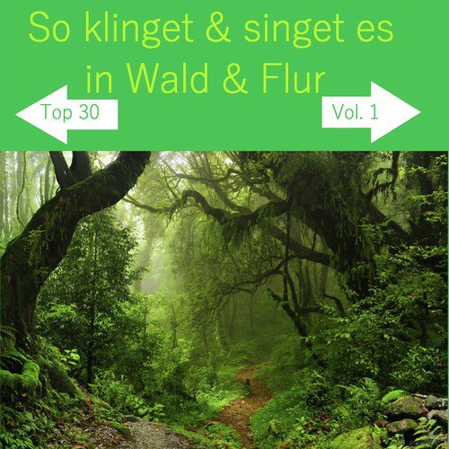 Top 30: So klinget & singet es in Wald & Flur, Vol. 1