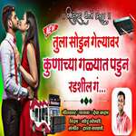 Tula Sodun Gelyavar Kunachya Galyat Padun Radshil G