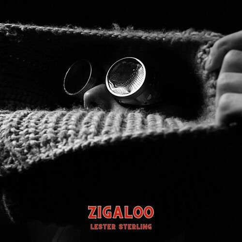 Zigaloo_poster_image