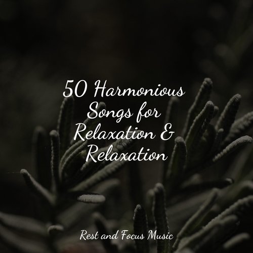 50 Harmonious Songs for Relaxation &amp; Relaxation_poster_image