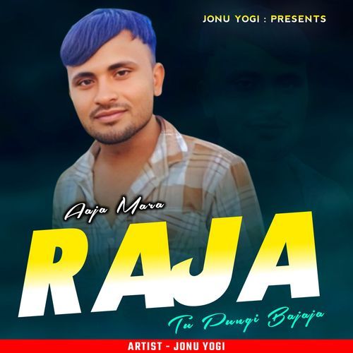 Aaja Mara Raja Tu Pungi Bajaja_poster_image