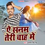 Ae Sanam Teri Chah Me