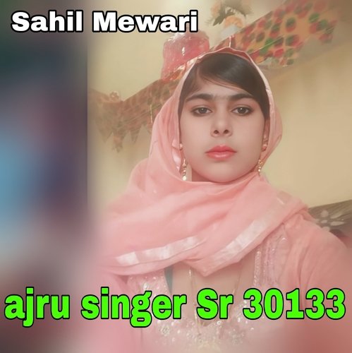 Ajru singer Sr 30133