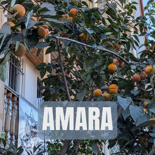 Amara