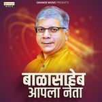 Balasaheb Apla Neta