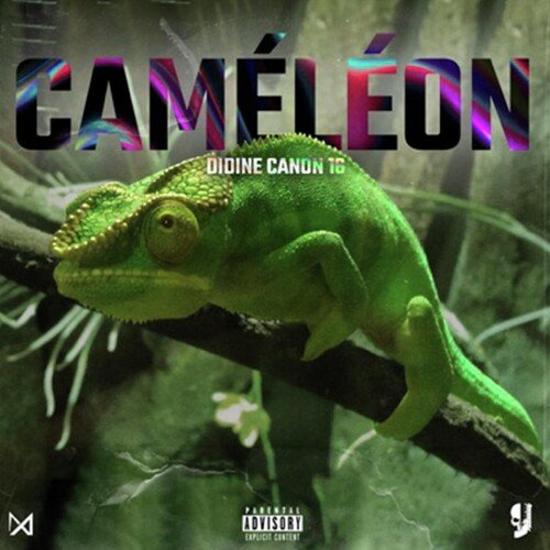 CAMELEON