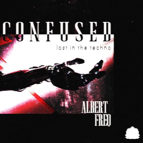 Confused (Lost In The Techno)
