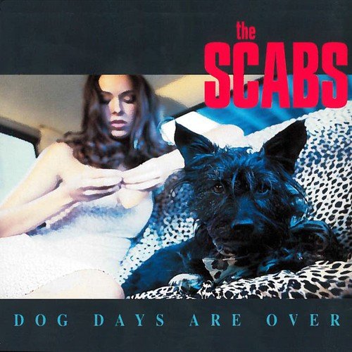 Dogs Days Are Over