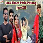 Janu Tharo Patlo Patang Jeso Dil