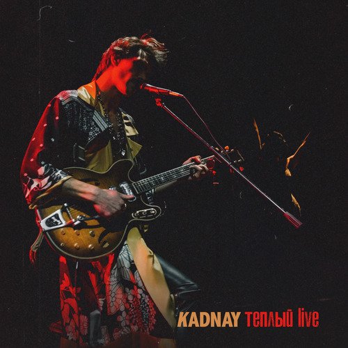 Santiago (Тёплый Live) cover art