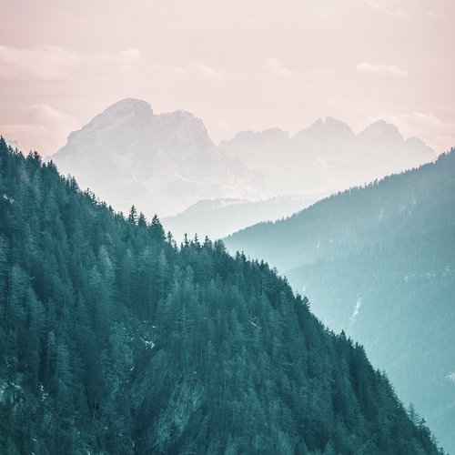 In Search of Rain cover art