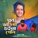 Mon vangiya choila geli