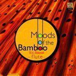 Moods Of The Bamboo