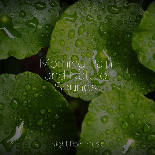Rain, Storm and Thunder cover art