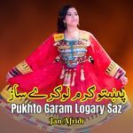Pukhto Garam Logary Saz