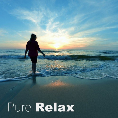 Pure Relax – New Age Sounds for Relaxation at Work Office or Home, Sounds of Nature, Pure Relaxation, Relaxing Music, Healing Sound Therapy