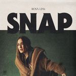 SNAP_poster_image