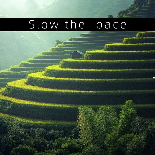 Slow the pace_poster_image