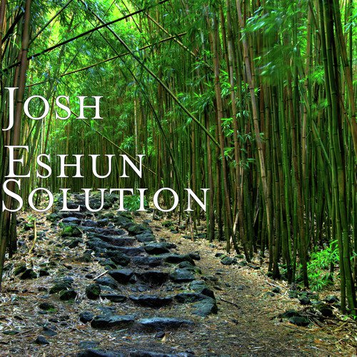 Solution cover art