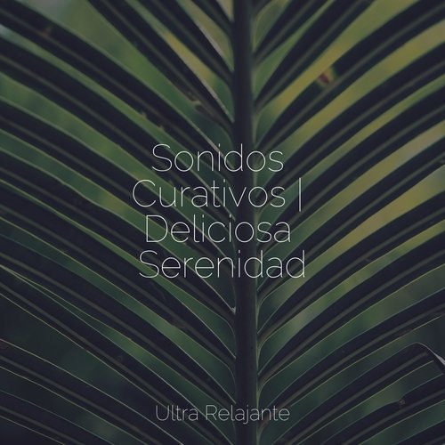 Sonidos Curativos | Deliciosa Serenidad