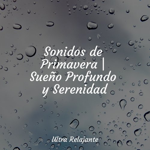 Sonidos de Primavera | Sueño Profundo y Serenidad_poster_image