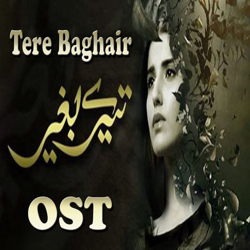 Tere Baghair (From "Tere Baghair")